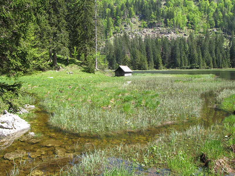 Obersee